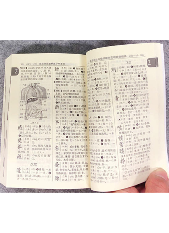 新编学生字典第1版黑白本