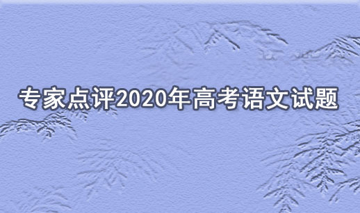 专家点评2020年高考语文试题