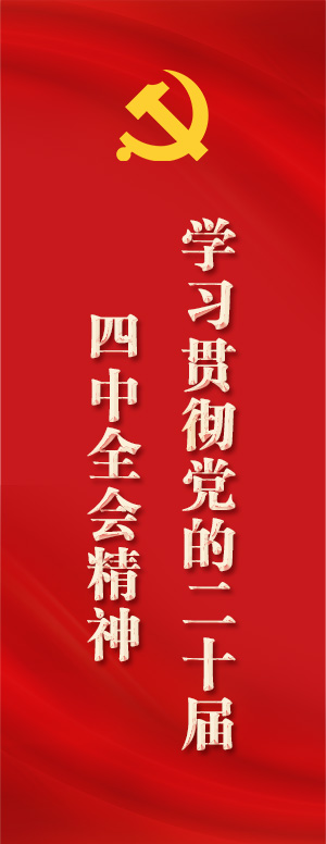 学习贯彻党的二十届四中全会精神