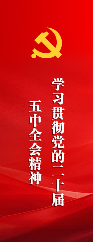 学习贯彻党的二十届五中全会精神