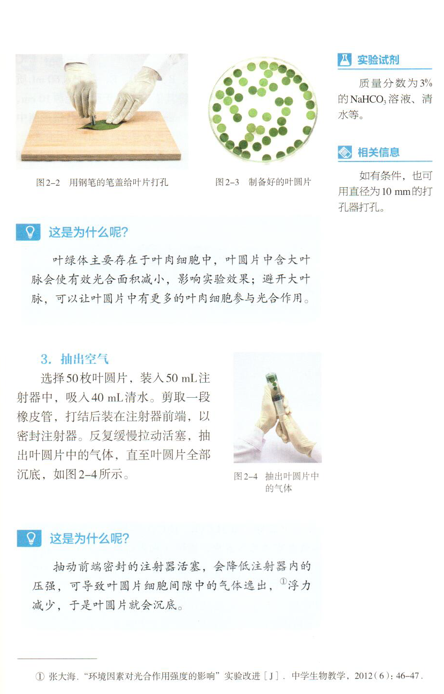 正文