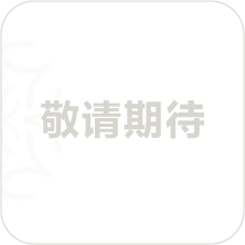 敬请期待