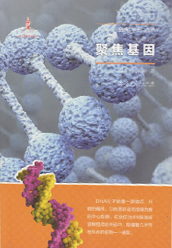 《聚焦基因》