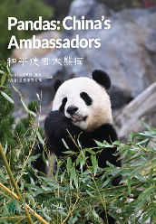 《中国读本》