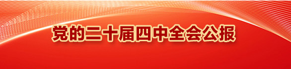 党的二十届四中全会公报一图速览