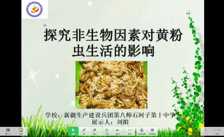 探究非生物因素对黄粉虫生活的影响