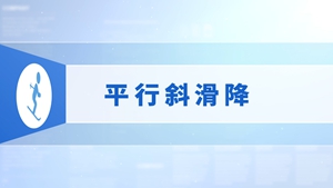 23.平行斜滑降