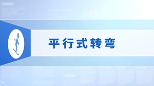 29.平行式转弯