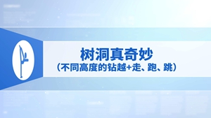 5.树洞真奇妙（不同高度的钻越 + 走、跑、跳）