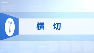 34.横切