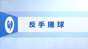 12.反手搓球