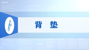 5.背垫