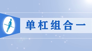 20单杠组合一