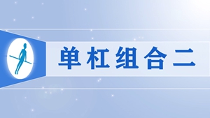 21单杠组合二