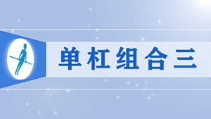 22单杠组合三