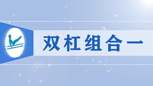 26双杠组合一