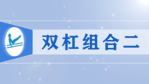 27双杠组合二