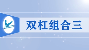 28双杠组合三