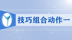 12技巧组合动作一