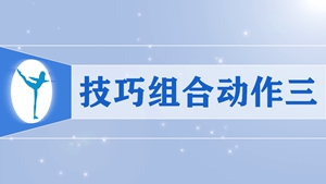 14技巧组合动作三