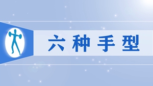 49六种手型