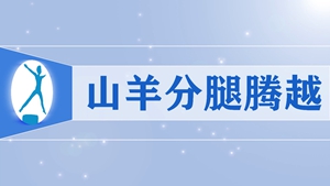 29山羊分腿腾越