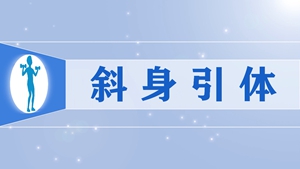 29.斜身引体