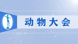 10动物大会