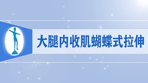14大腿内收肌蝴蝶式拉伸