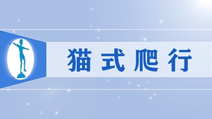23猫式爬行
