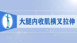 30大腿内收肌横叉拉伸