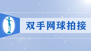 35双手网球拍接