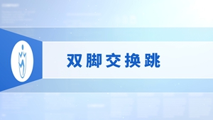 4.双脚交换跳