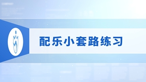 17.配乐小套路练习