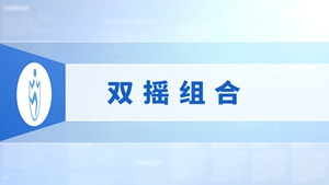 21.双摇组合