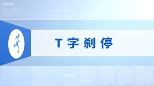 33.T字刹停