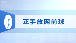 17.正手放网前球