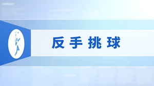 20.反手挑球