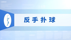 24.反手扑球