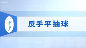 14.反手平抽球