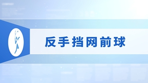 16.反手挡网前球