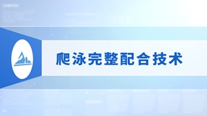 15.爬泳完整配合技术