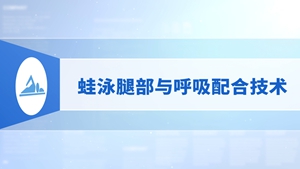 09.蛙泳腿部与呼吸配合技术