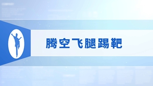 21.腾空飞腿踢靶