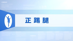 15.正踢腿