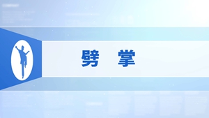 7.劈掌