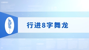 34.行进8字舞龙
