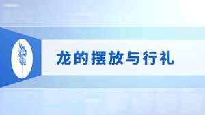 24.龙的摆放与行礼