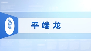27.平端龙