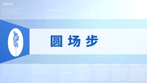 28.圆场步